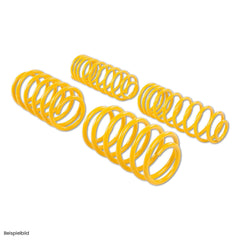 ST Tieferlegungs Sportfedern (20mm/20mm Tieferlegung)