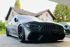 Active Suspension Control - Mercedes Benz AMG GT4 X290 Airmatic - APP-Steuerung