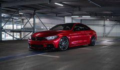 WF CF. 1-FF | 20x9 | FROZEN SILVER