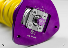 Gepfeffert V2, Skoda Octavia 5E Ø 55mm (tiefe Ausführung mit Sturzdomlager)