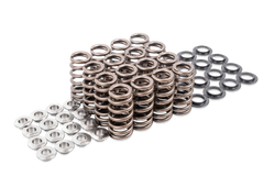 Ventilfedern-System für 1.8T/2.0T EA113 & EA888 Gen 1,2,3 (16 Stück)