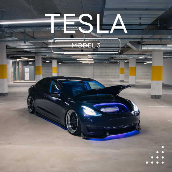 Tesla Model 3 (003) Luftfahrwerk Komplett-Kit inkl. Einbau und Gutachten